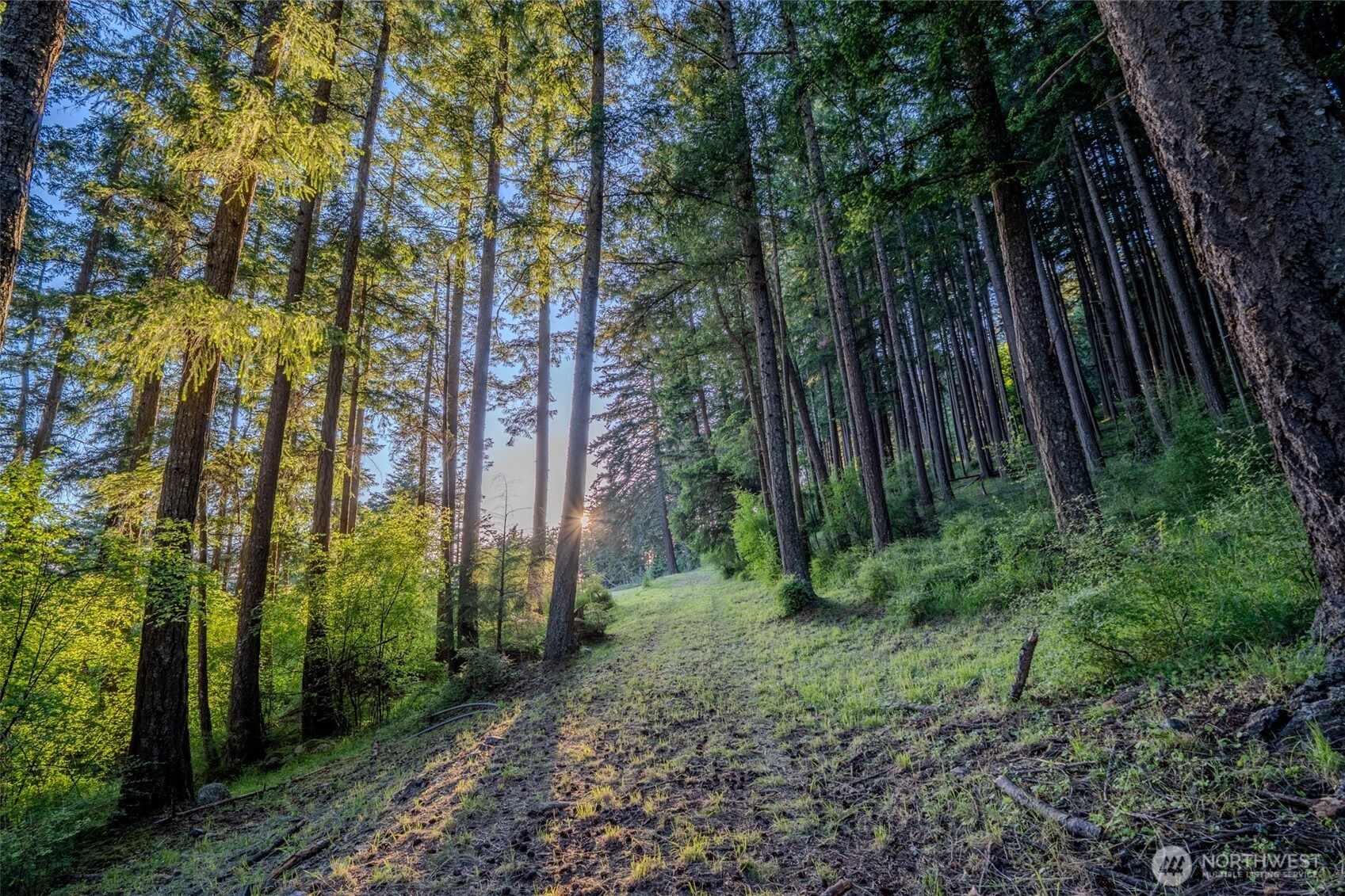 521 Vusario Lane Orcas Island WA 98245