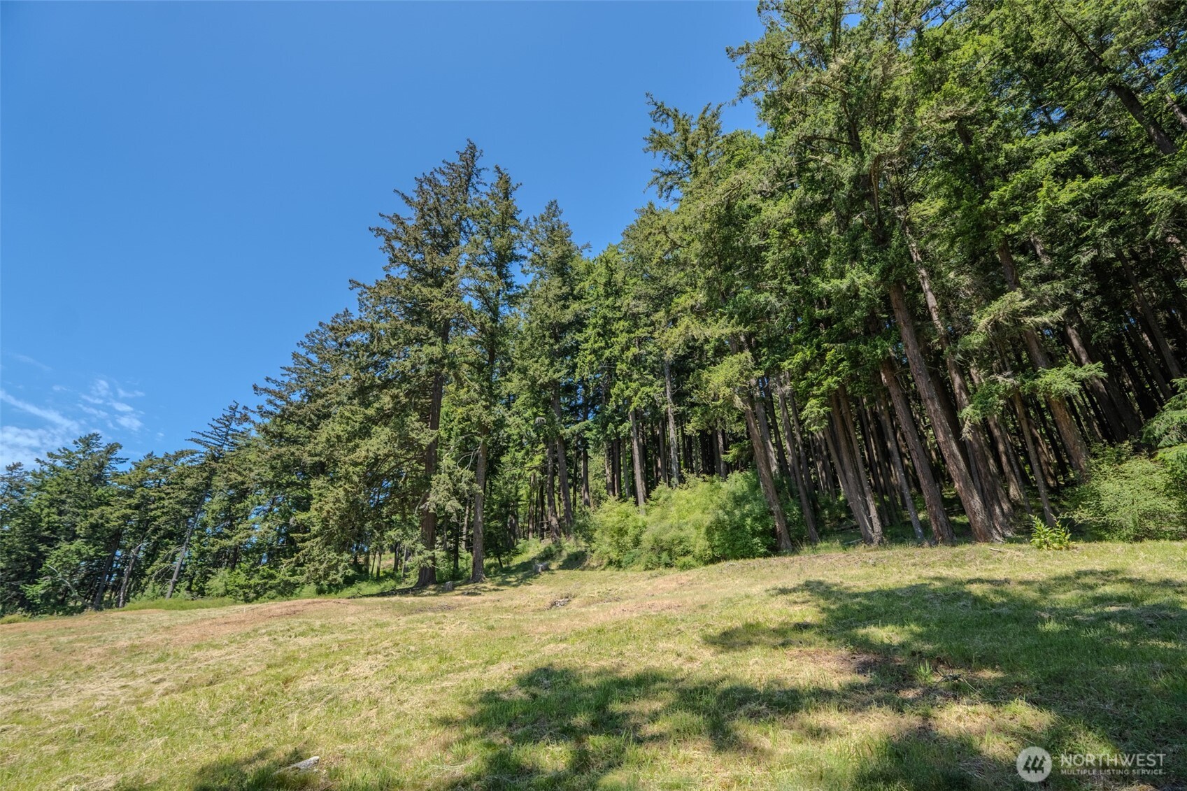 521 Vusario Lane Orcas Island WA 98245