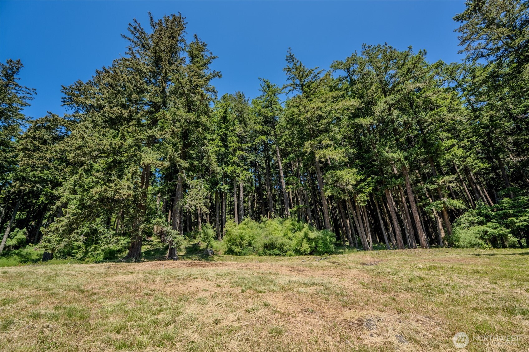 521 Vusario Lane Orcas Island WA 98245