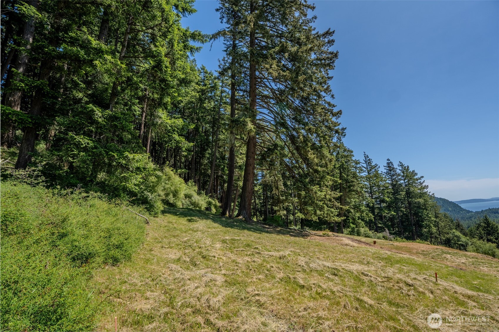 521 Vusario Lane Orcas Island WA 98245