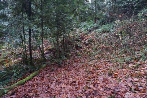 4703 Ames Lake Carnation Rd NE Redmond WA 98053