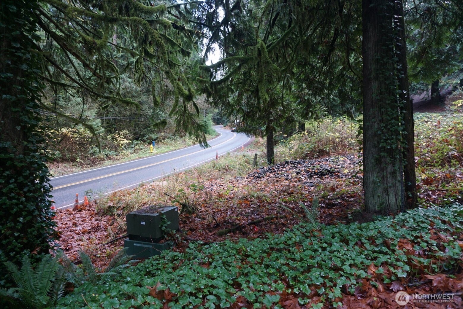 4703 Ames Lake Carnation Rd NE Redmond WA 98053