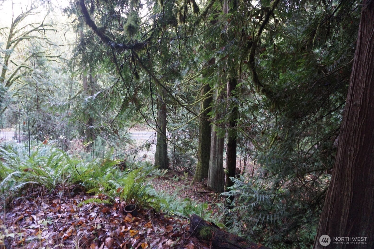 4703 Ames Lake Carnation Rd NE Redmond WA 98053
