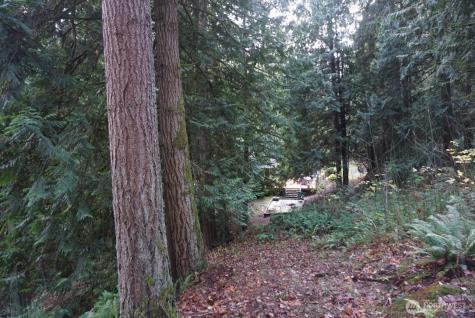 4703 Ames Lake Carnation Rd NE Redmond WA 98053