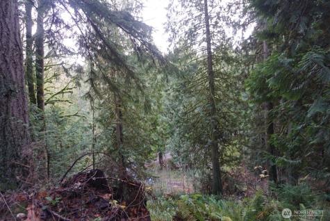 4703 Ames Lake Carnation Rd NE Redmond WA 98053