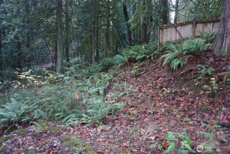 4703 Ames Lake Carnation Rd NE Redmond WA 98053