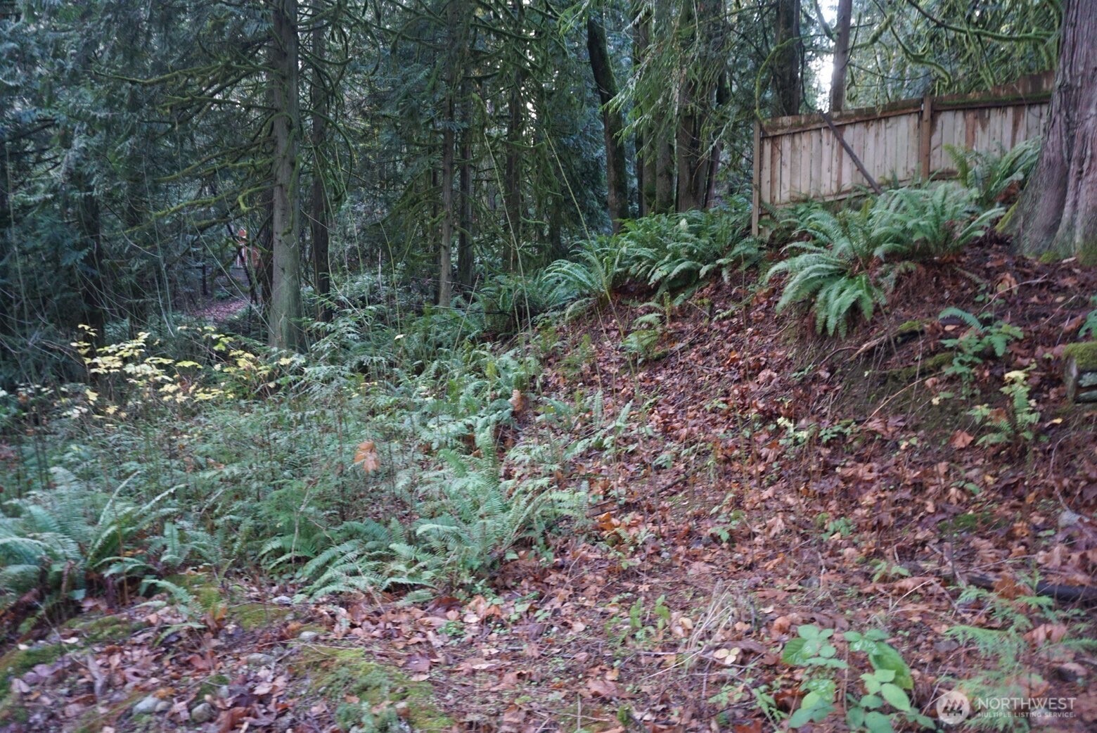 4703 Ames Lake Carnation Rd NE Redmond WA 98053