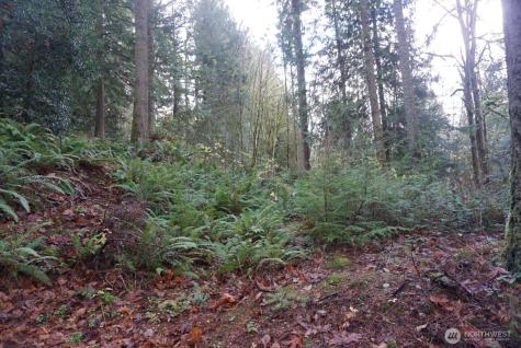 4703 Ames Lake Carnation Rd NE Redmond WA 98053