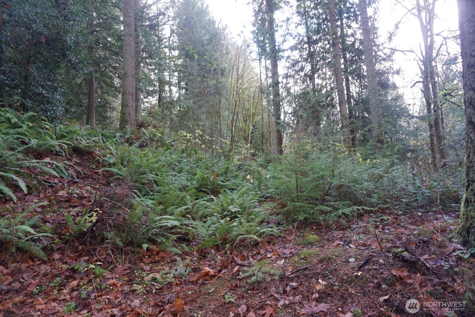 4703 Ames Lake Carnation Rd NE Redmond WA 98053