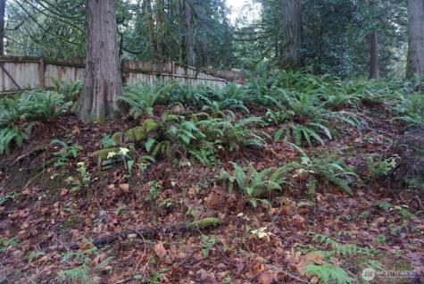 4703 Ames Lake Carnation Rd NE Redmond WA 98053
