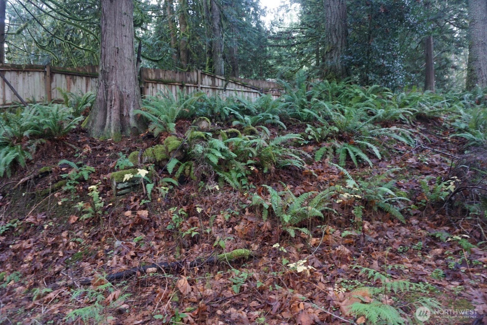 4703 Ames Lake Carnation Rd NE Redmond WA 98053