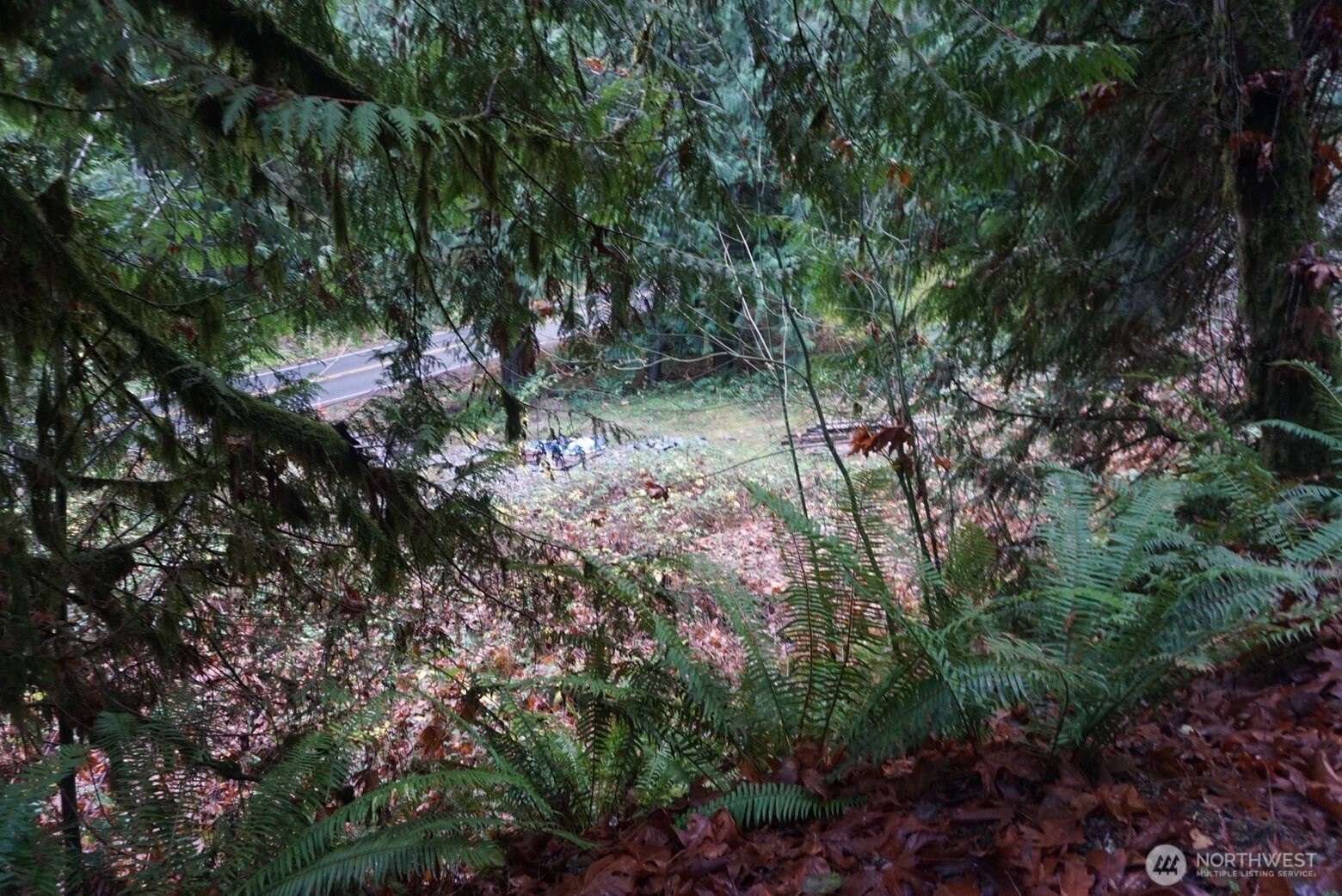 4703 Ames Lake Carnation Rd NE Redmond WA 98053