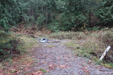4703 Ames Lake Carnation Rd NE Redmond WA 98053