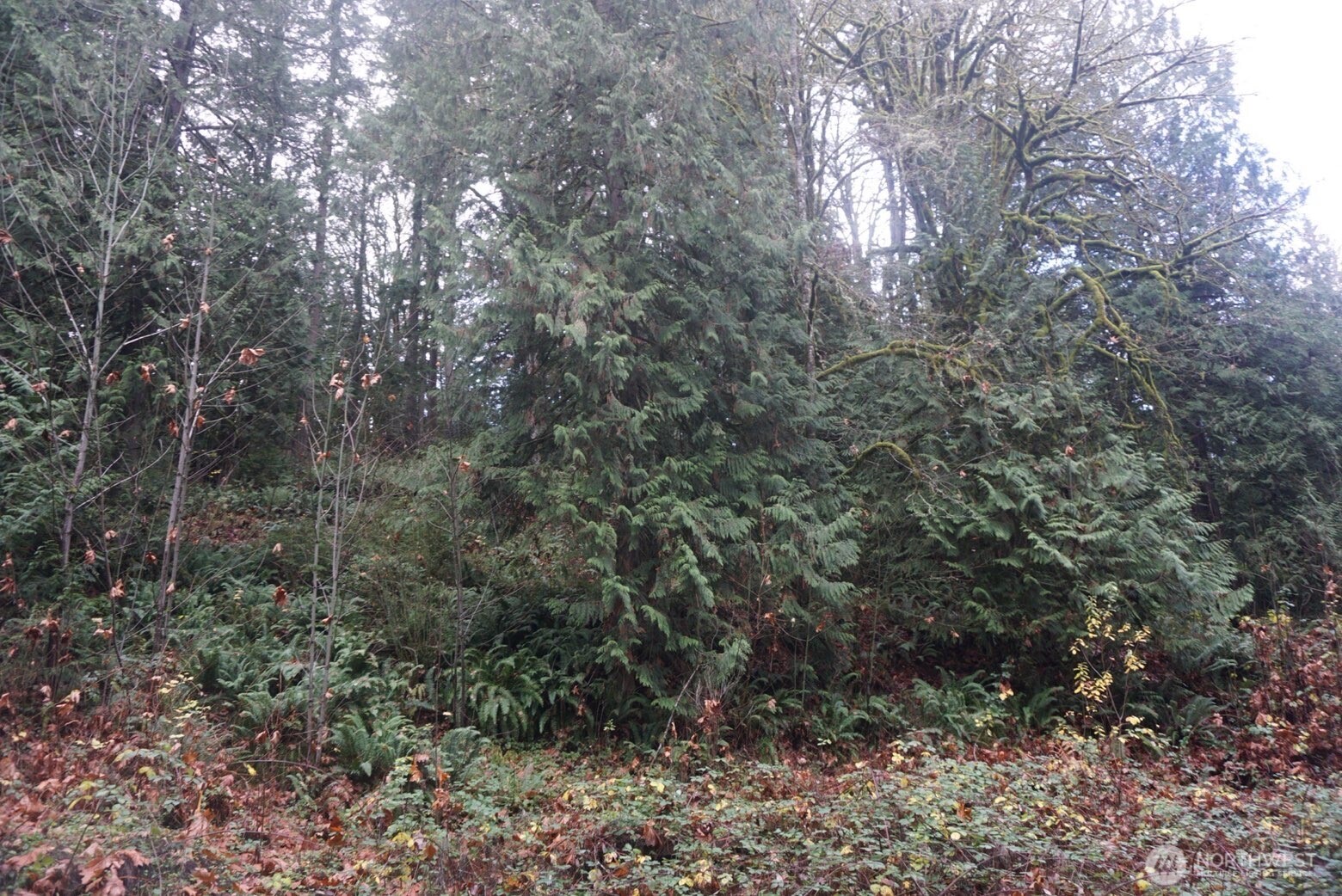 4703 Ames Lake Carnation Rd NE Redmond WA 98053