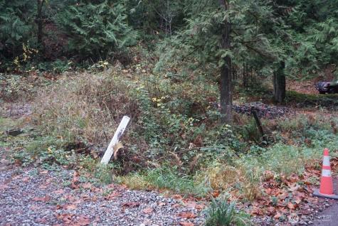 4703 Ames Lake Carnation Rd NE Redmond WA 98053