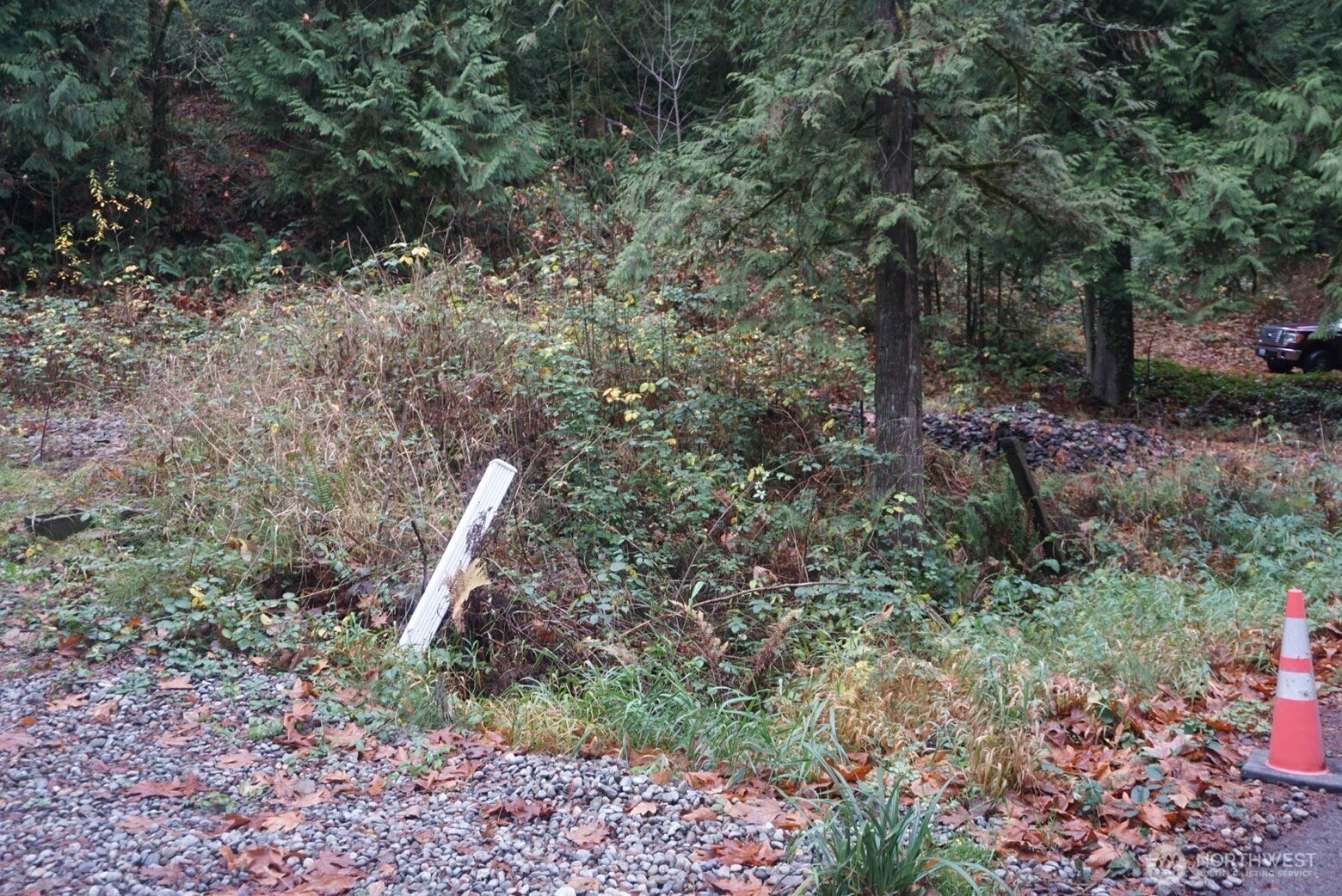 4703 Ames Lake Carnation Rd NE Redmond WA 98053