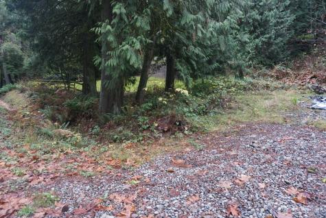 4703 Ames Lake Carnation Rd NE Redmond WA 98053