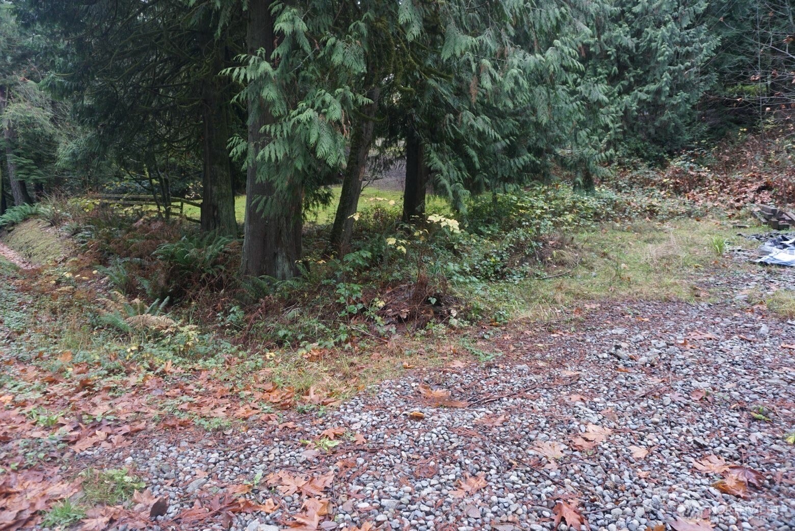 4703 Ames Lake Carnation Rd NE Redmond WA 98053