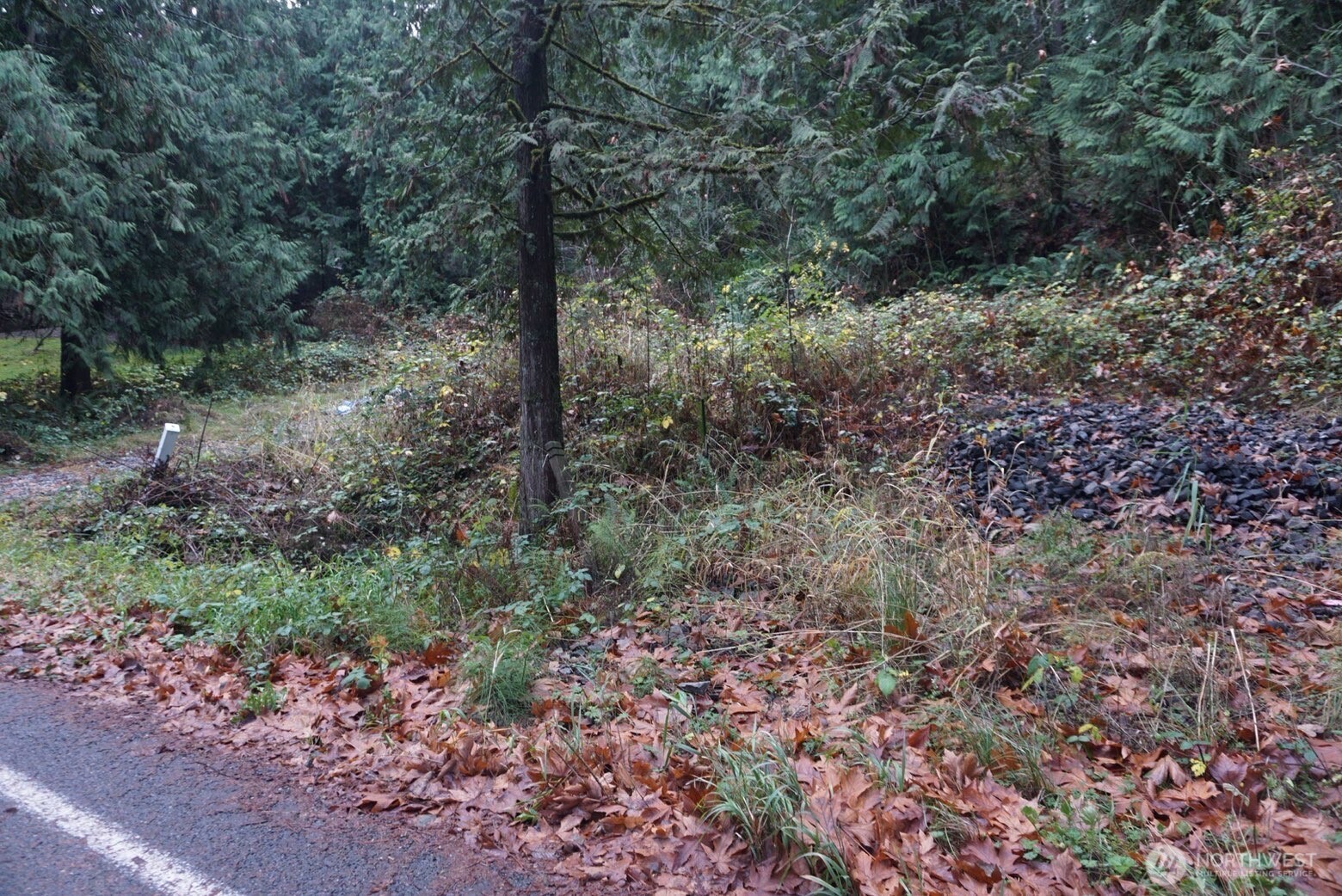 4703 Ames Lake Carnation Rd NE Redmond WA 98053