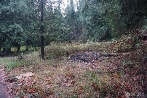 4703 Ames Lake Carnation Rd NE Redmond WA 98053