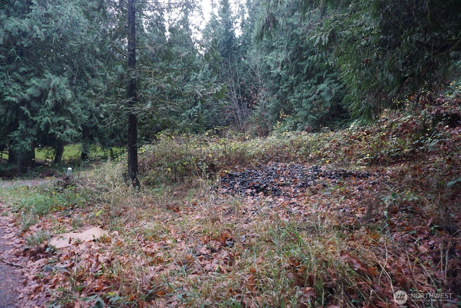 4703 Ames Lake Carnation Rd NE Redmond WA 98053