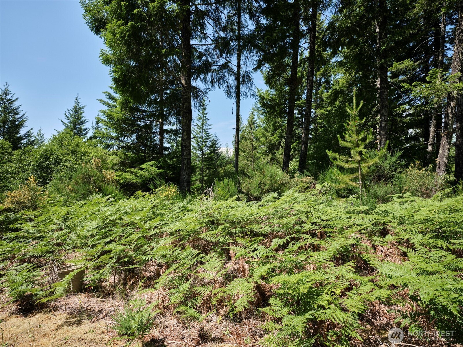 2 Phyllis Ann Block Court Cougar WA 98616