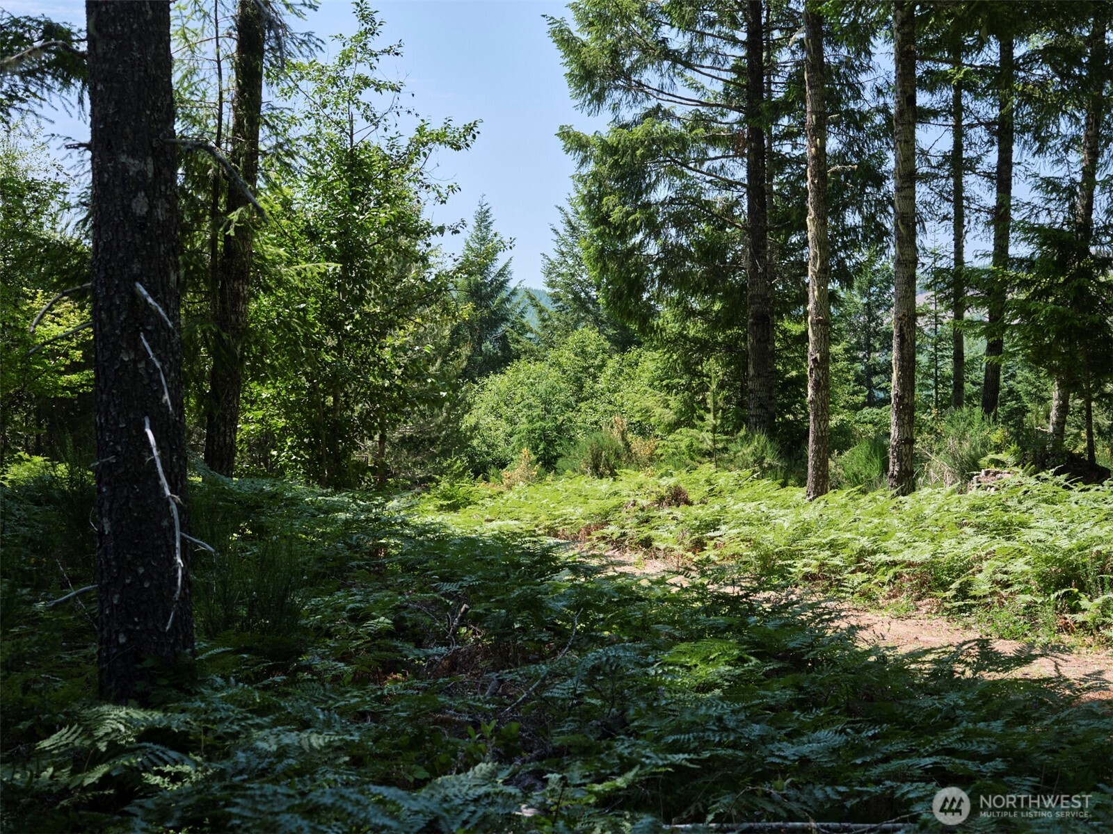 2 Phyllis Ann Block Court Cougar WA 98616