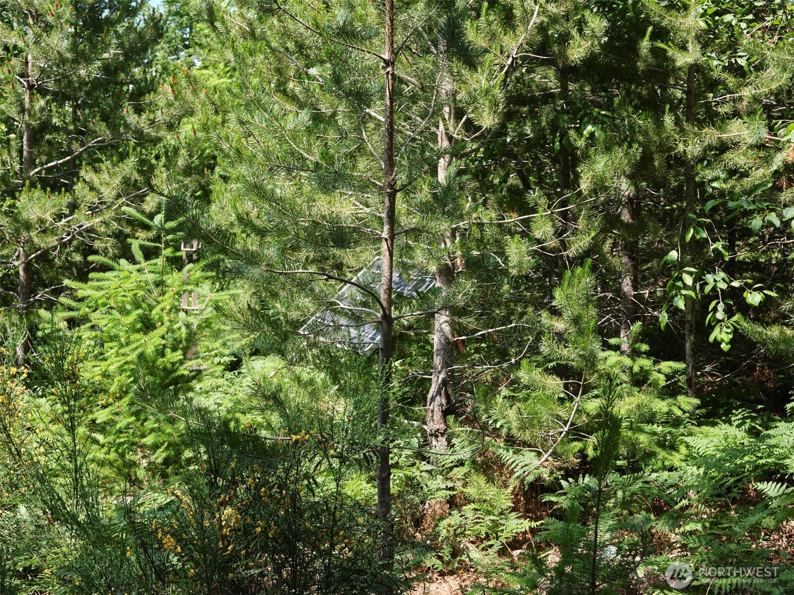 2 Phyllis Ann Block Court Cougar WA 98616
