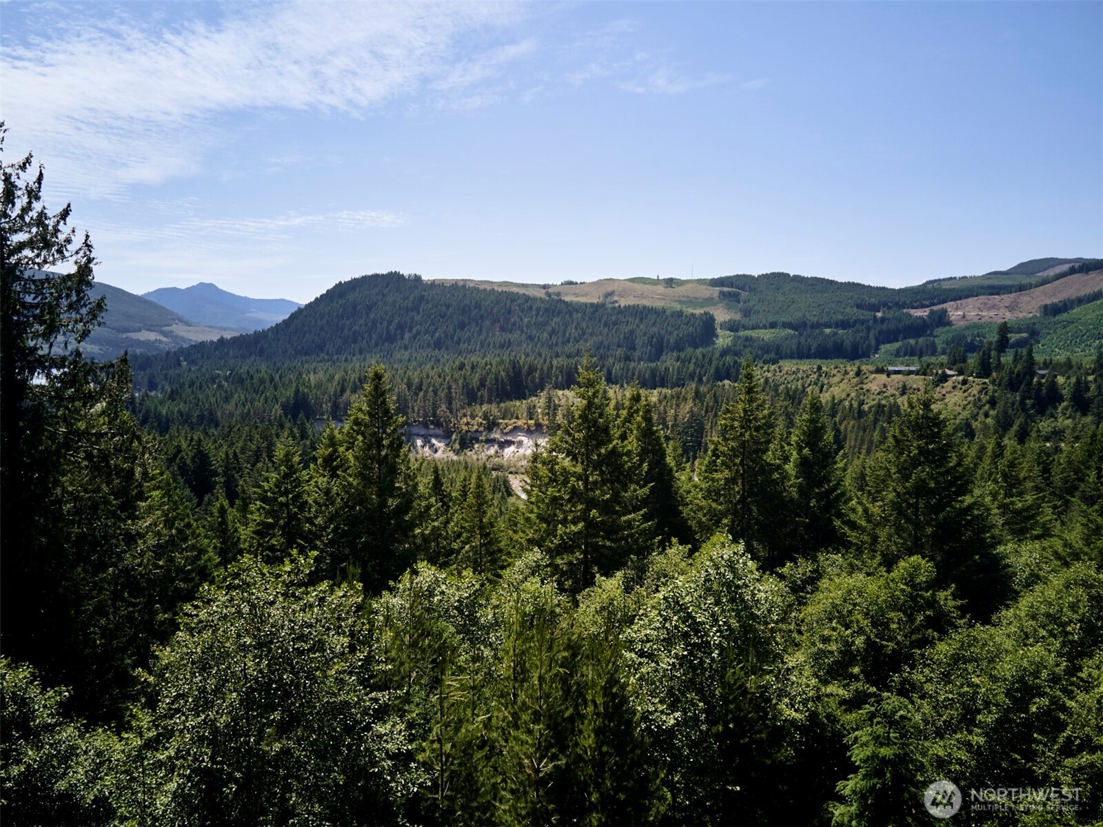 2 Phyllis Ann Block Court Cougar WA 98616