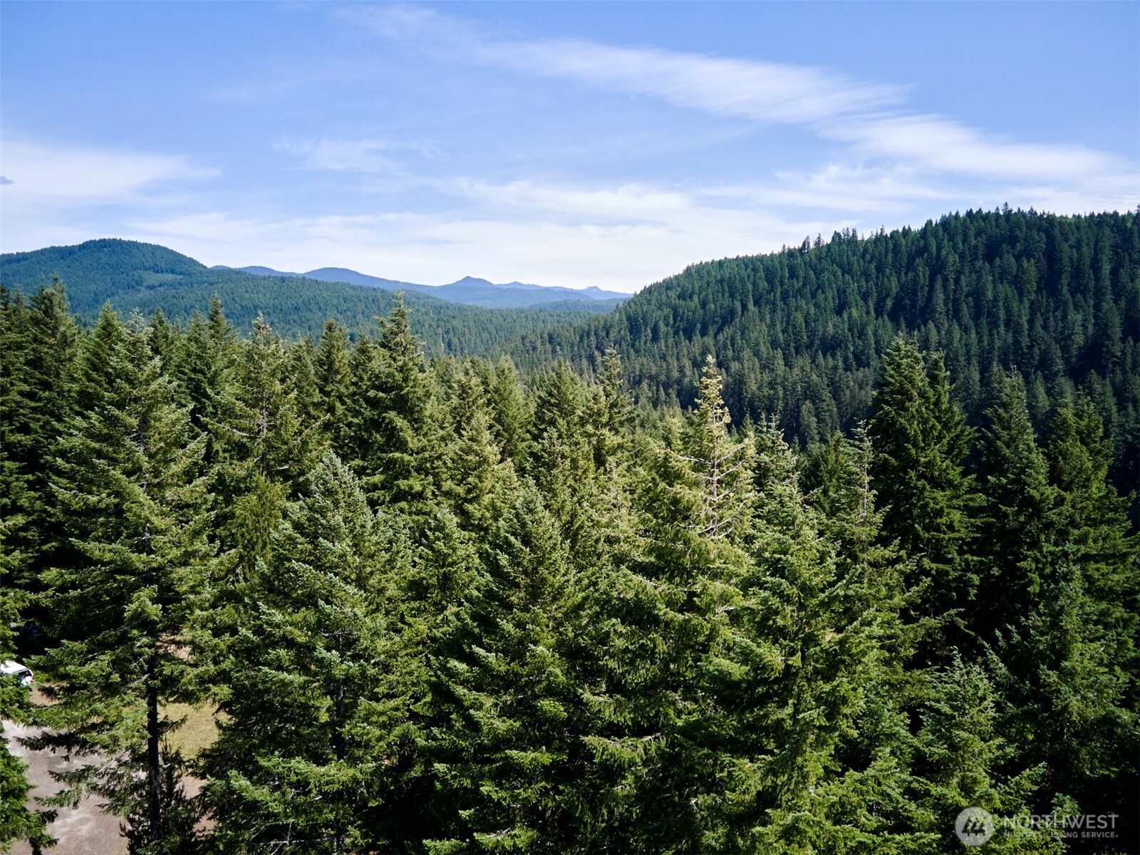 2 Phyllis Ann Block Court Cougar WA 98616