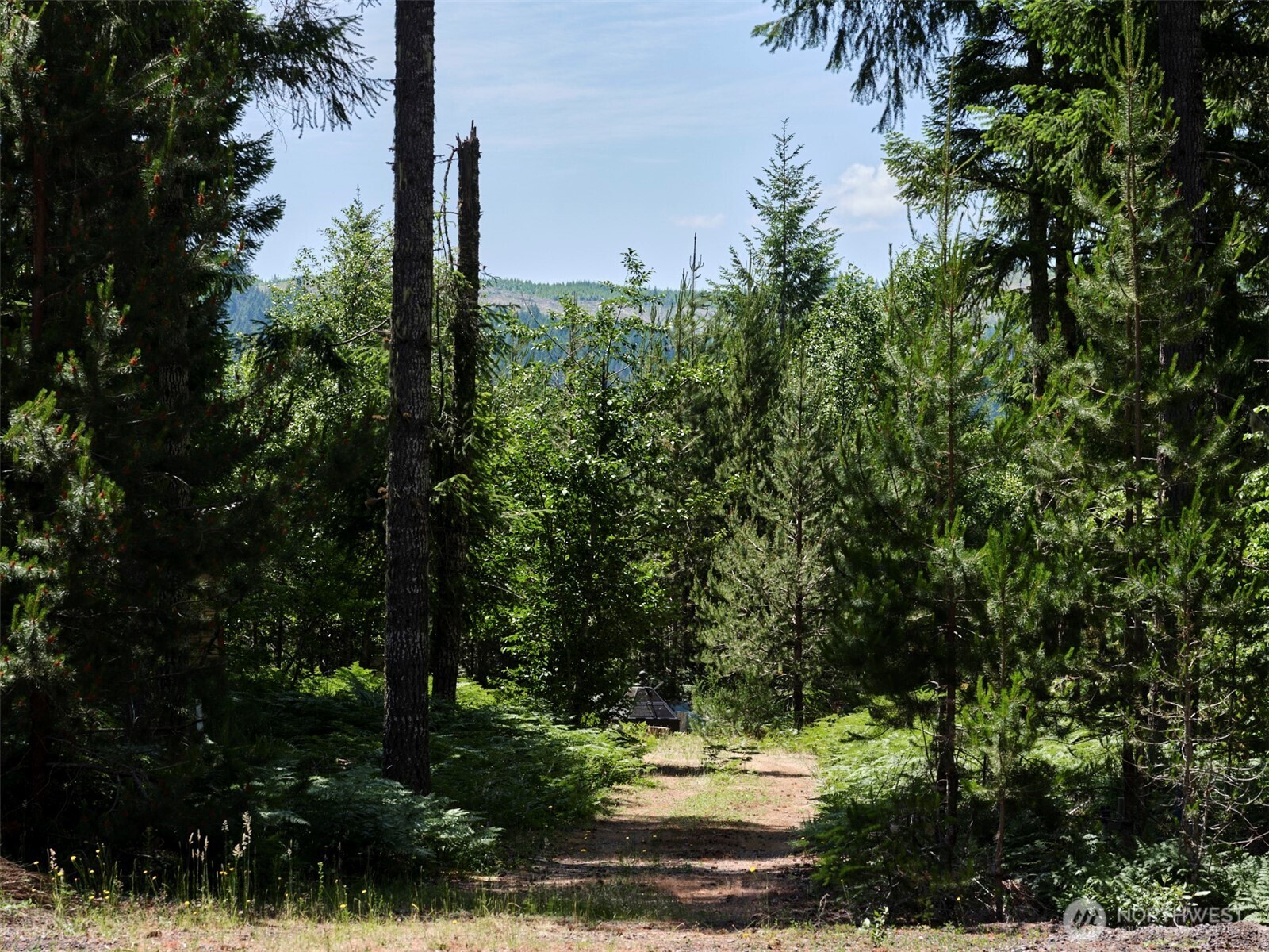 2 Phyllis Ann Block Court Cougar WA 98616