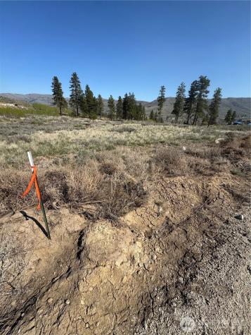 2 Riverbend Overlook Methow WA 98834