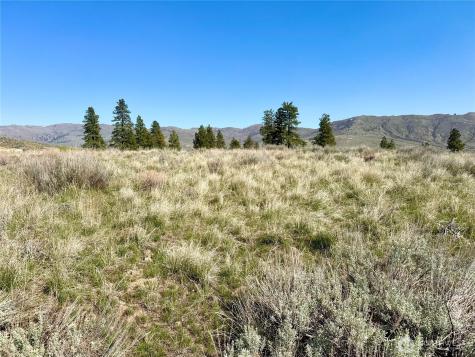 2 Riverbend Overlook Methow WA 98834