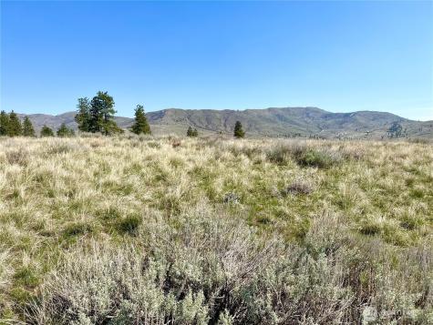 2 Riverbend Overlook Methow WA 98834