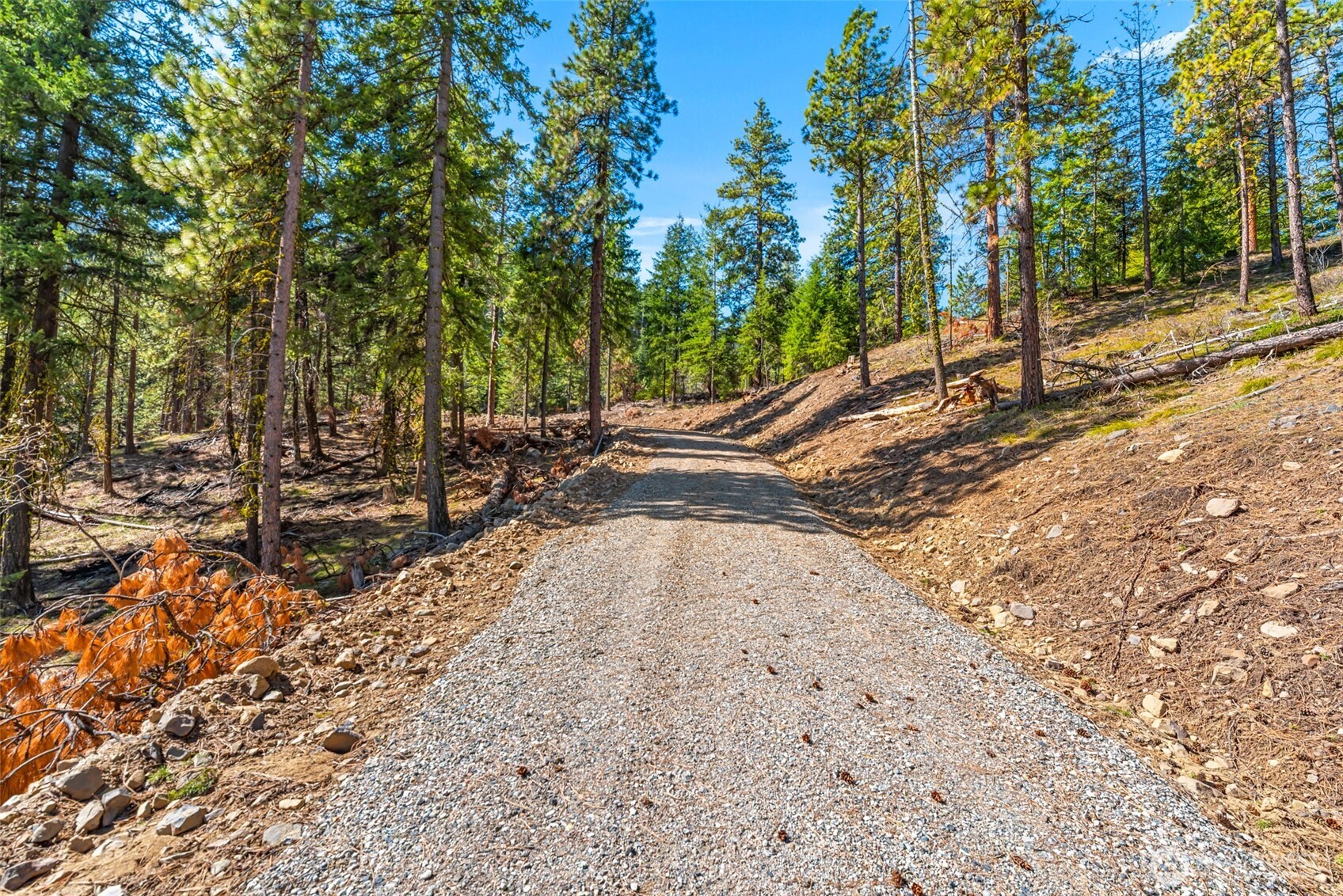 6424 Summit View Place Wenatchee WA 98801