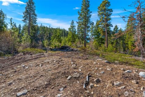 6424 Summit View Place Wenatchee WA 98801