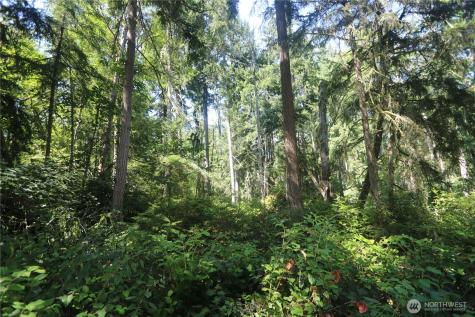 28686 141st Avenue SW Vashon WA 98070