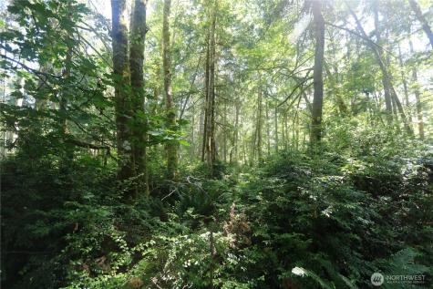 28686 141st Avenue SW Vashon WA 98070