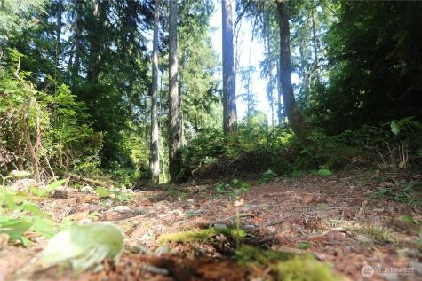 28686 141st Avenue SW Vashon WA 98070