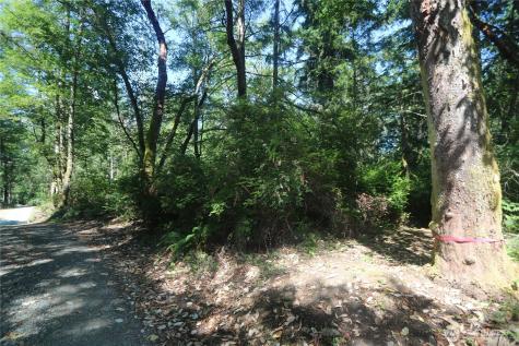 28686 141st Avenue SW Vashon WA 98070