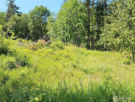 222 Triangle Cove Lane Camano Island WA 98282