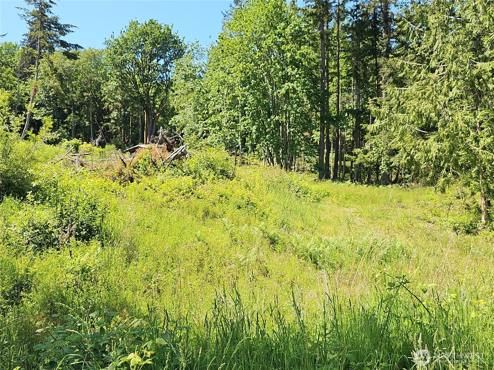 222 Triangle Cove Lane Camano Island WA 98282