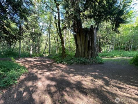 15901 108th Street E Puyallup WA 98374