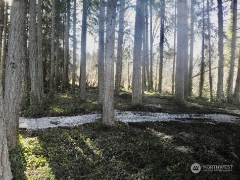 15739 Virginia Loop Road NE Poulsbo WA 98370