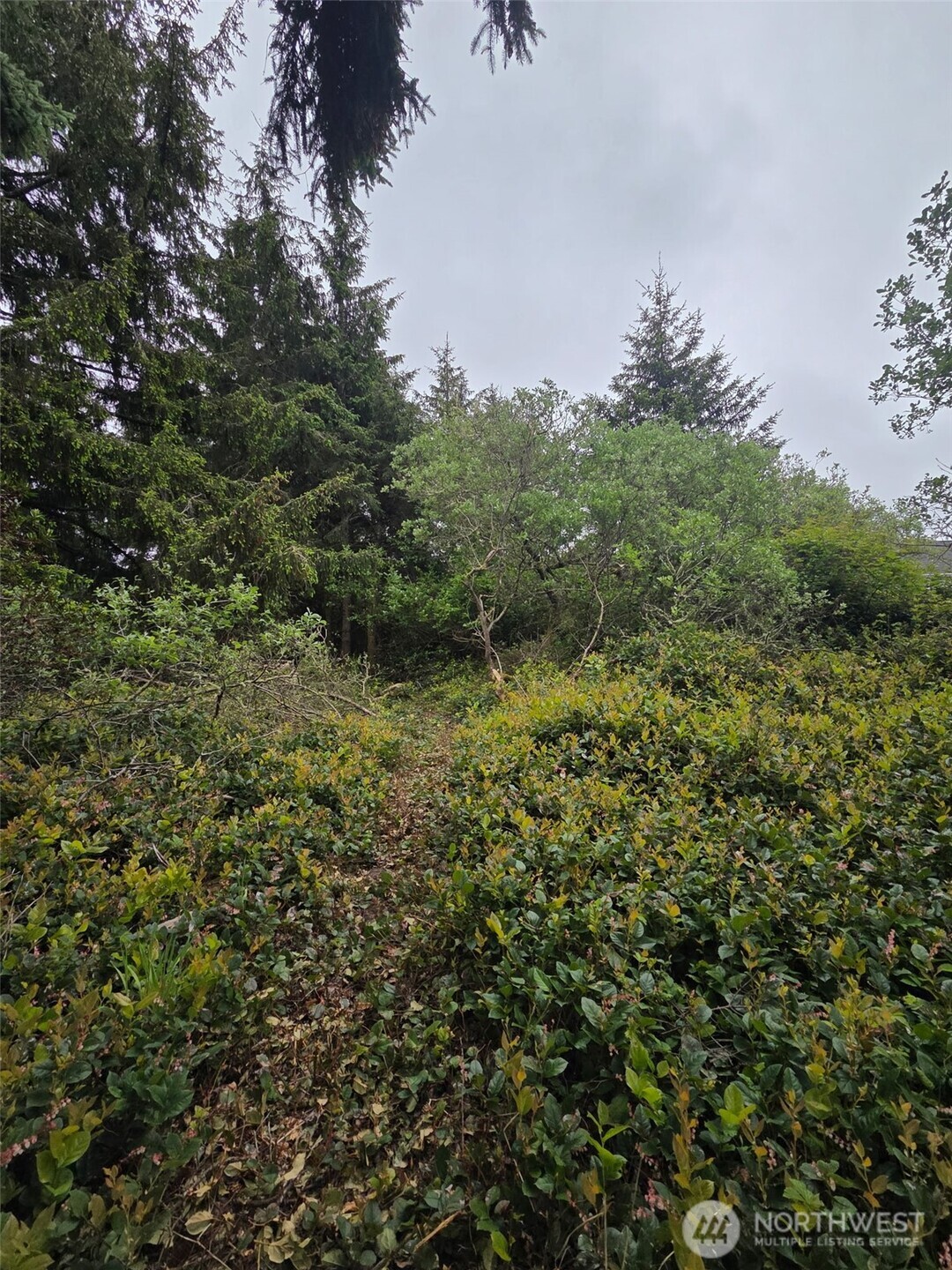 624 Wolf Ct SE Ocean Shores WA 98569