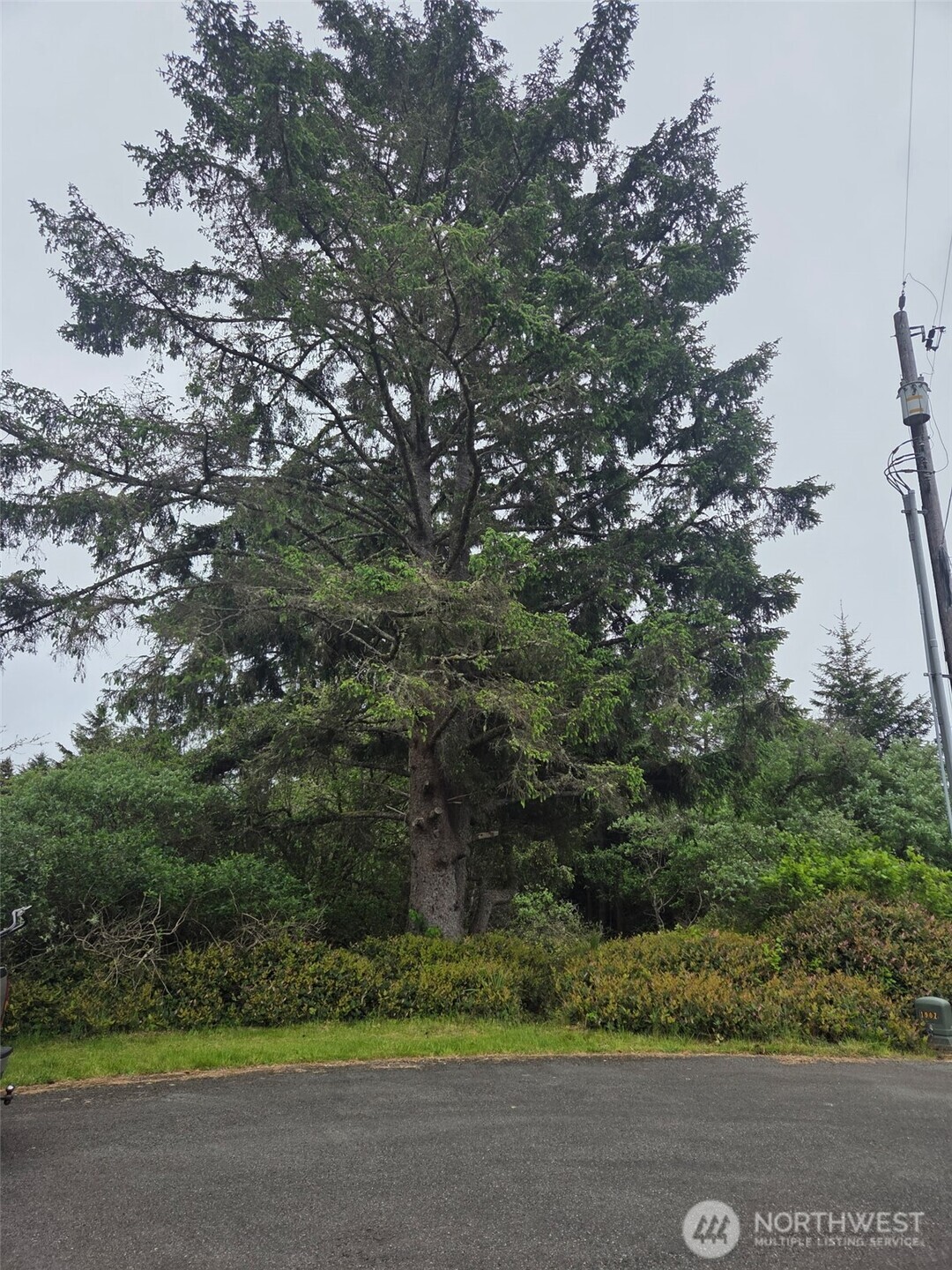 624 Wolf Ct SE Ocean Shores WA 98569