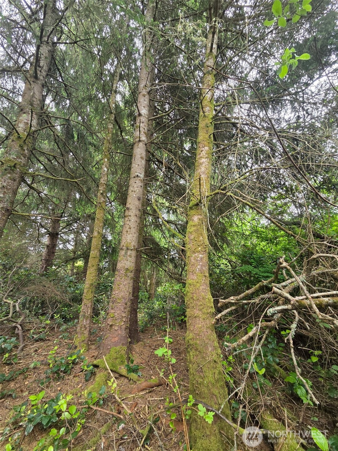 624 Wolf Ct SE Ocean Shores WA 98569