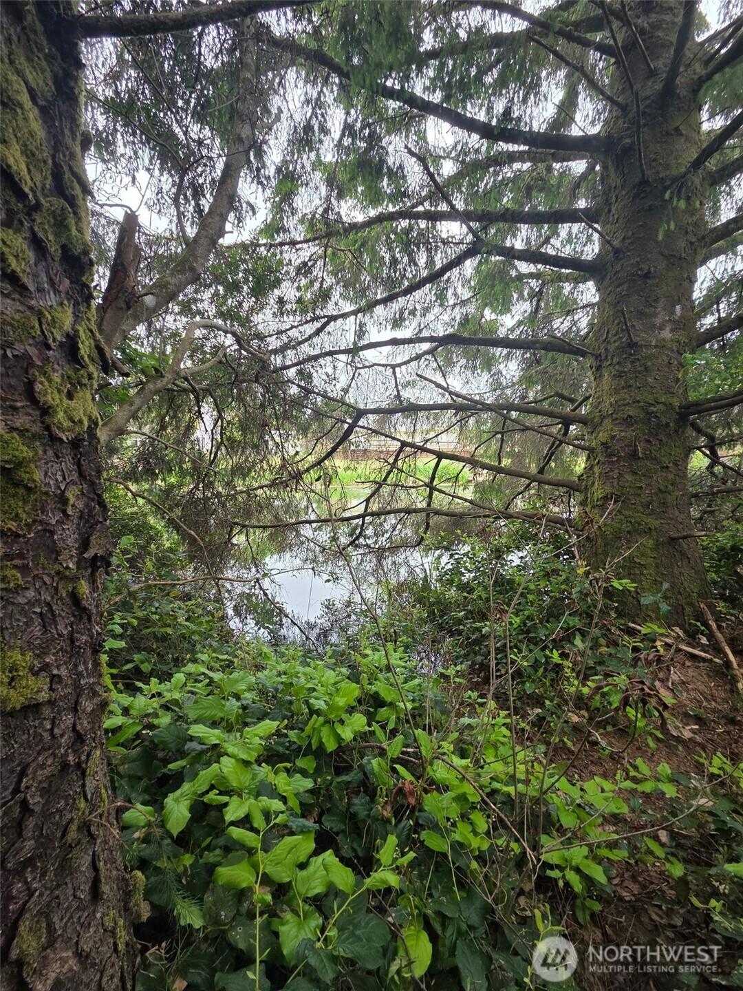 624 Wolf Ct SE Ocean Shores WA 98569