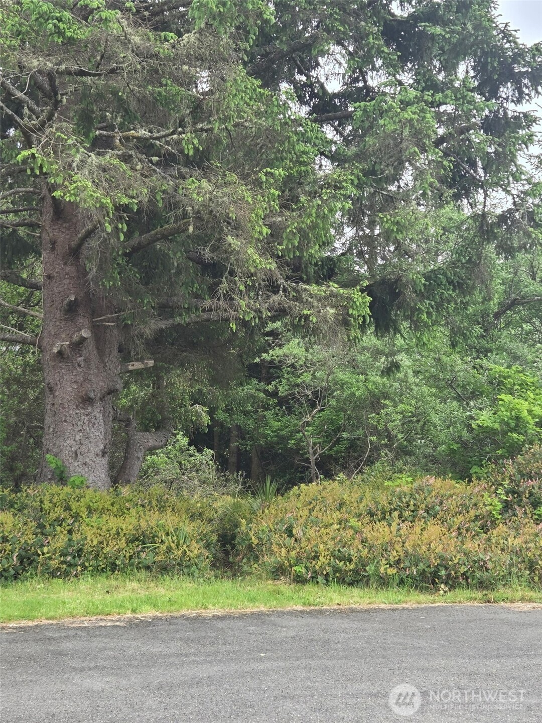 624 Wolf Ct SE Ocean Shores WA 98569