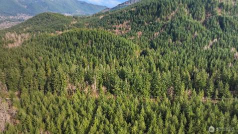 0 Cumberland Kanaskat Road SE Ravensdale WA 98051